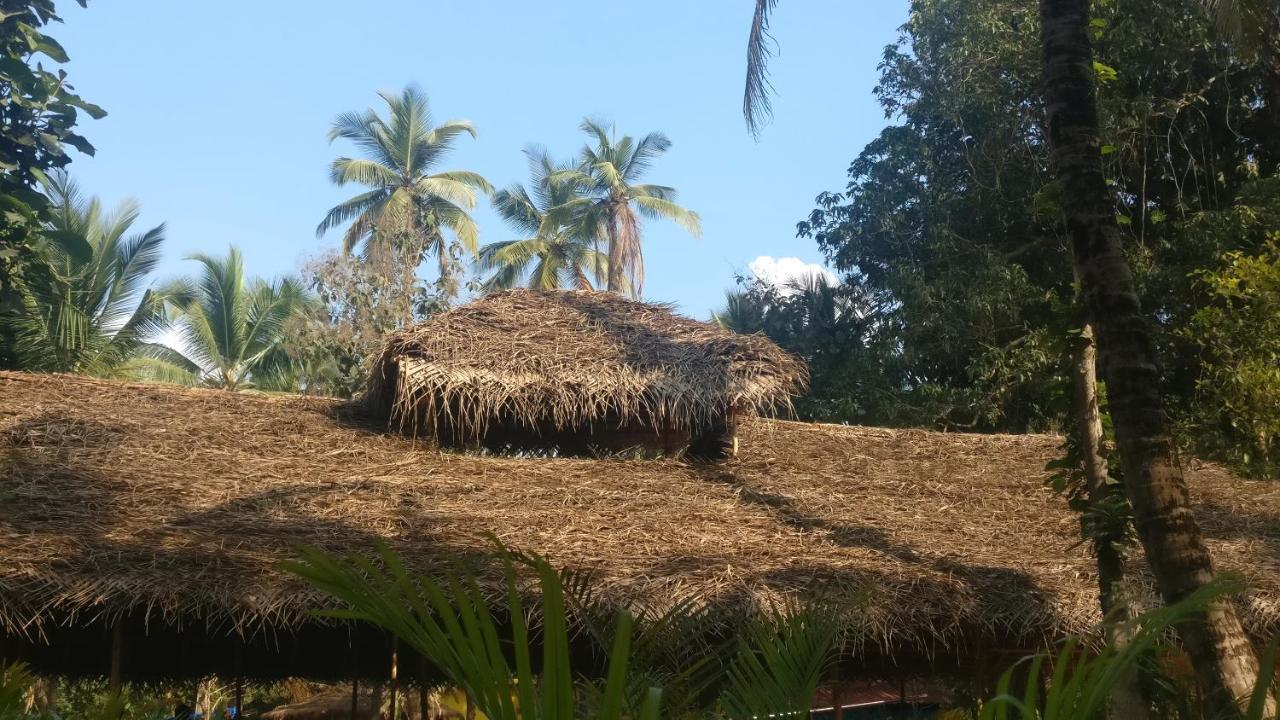 Kings Villa Resort Palolem Buitenkant foto