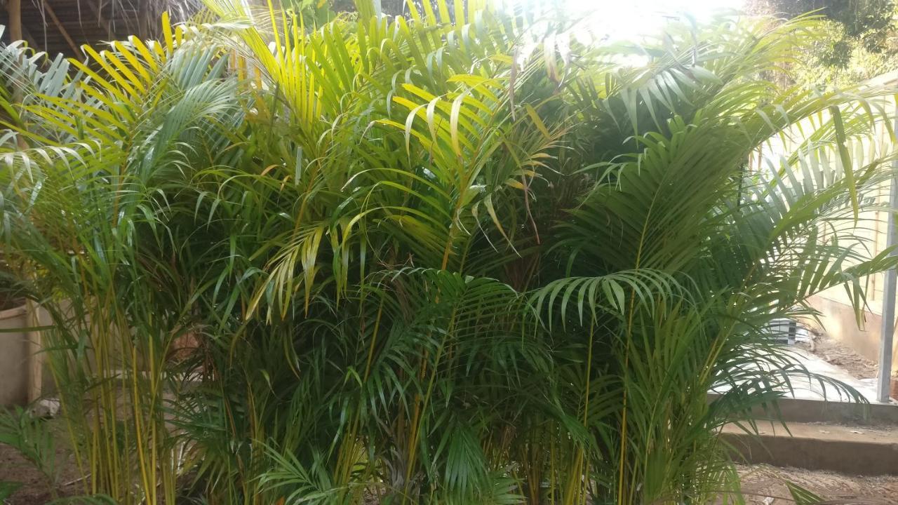 Kings Villa Resort Palolem Buitenkant foto